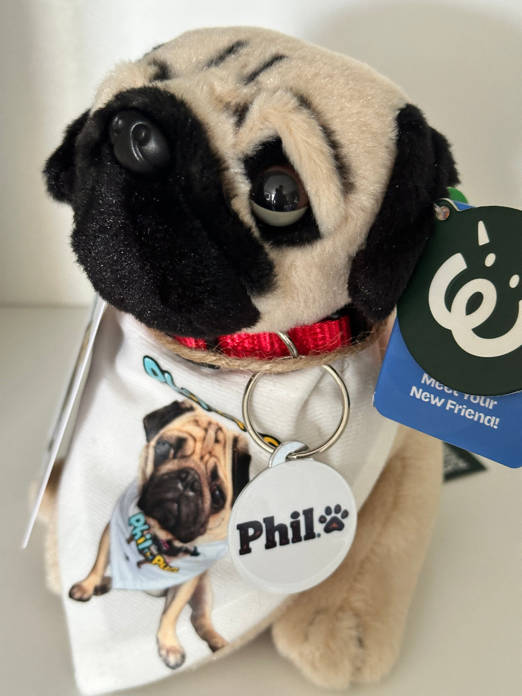 🐾 Phil the Pug: Collector’s Edition Bundle