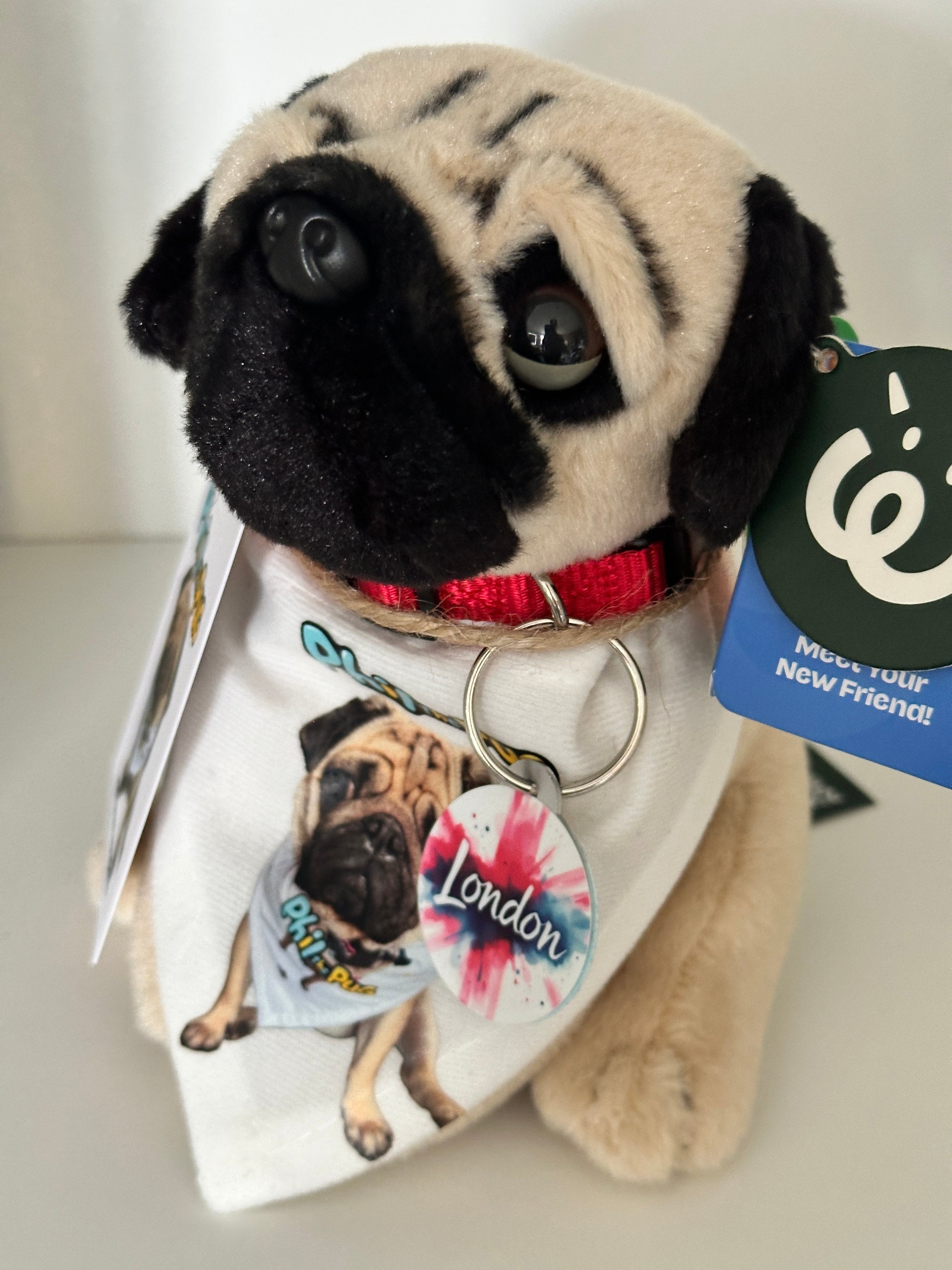 Phil the Pug – Custom Plush Toy with Signature Accessories - 16.5cm