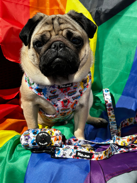 🌈 Phil’s Pride Parade Collection