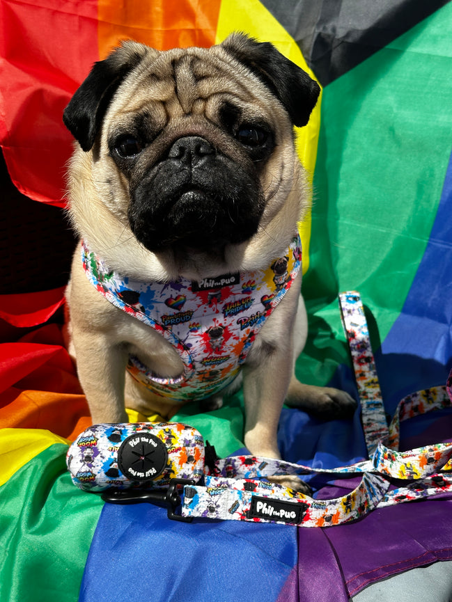 🌈 Phil’s Pride Parade Collection