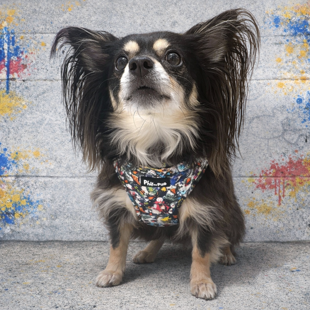 GraffiTales - Phil's Urban Crew Mini Legends Harness Collection