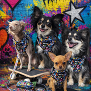 GraffiTales - Phil's Urban Crew Mini Legends Harness Collection