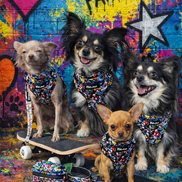 GraffiTales - Phil's Urban Crew Mini Legends Harness Collection
