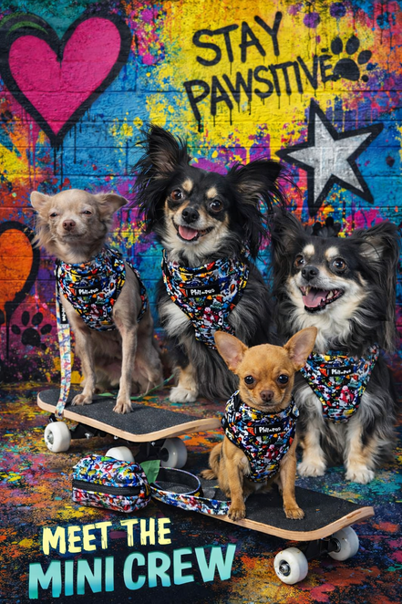 GraffiTales - Phil's Urban Crew Mini Legends Harness Collection