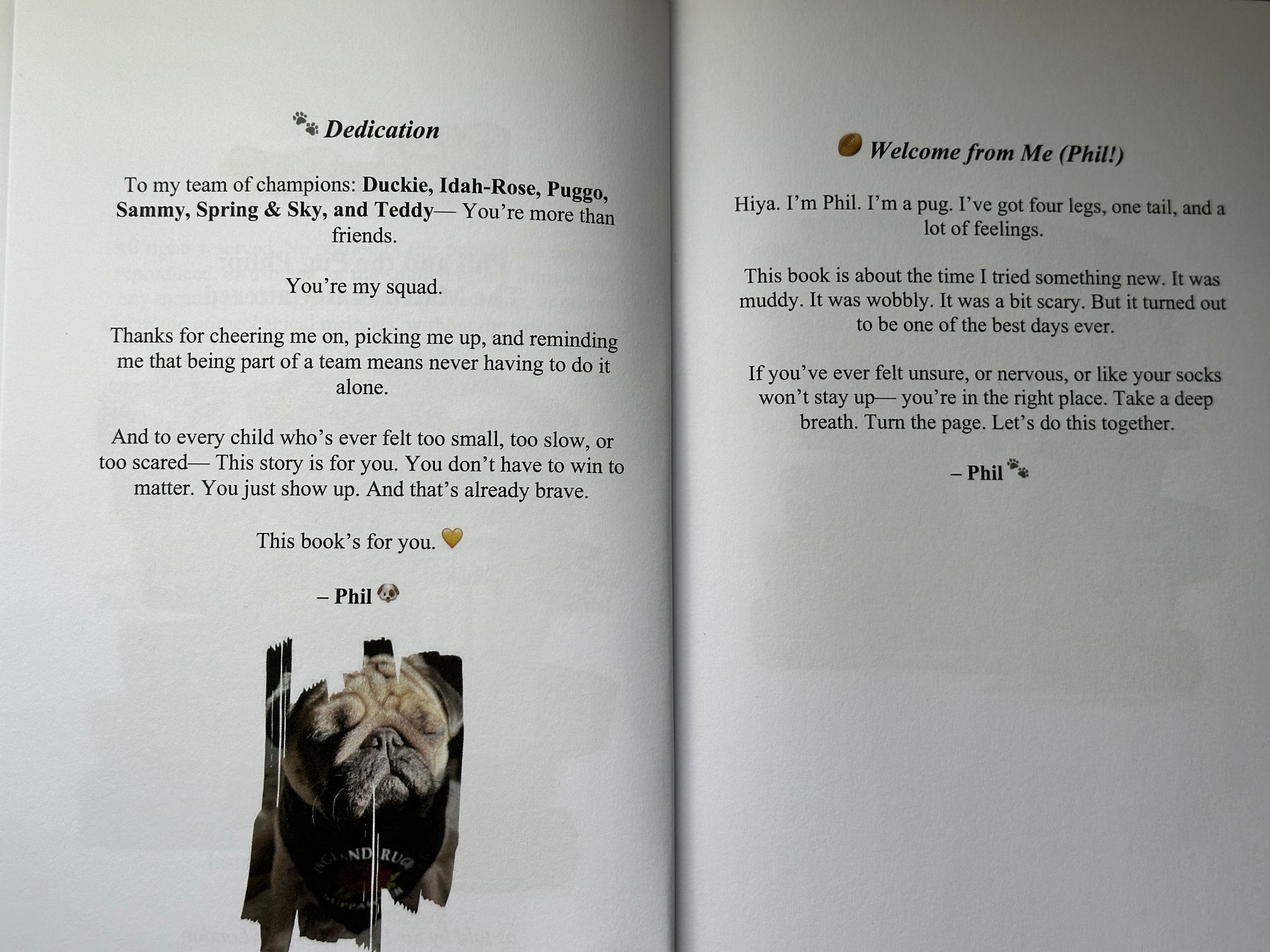 Phil the Pug - Phil and the Pug Phlip: The Match that Mattered - Signed Edition Children's Hardback Book