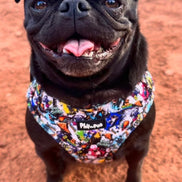 GraffiTales: Phil's Urban Crew Adjustable Harness