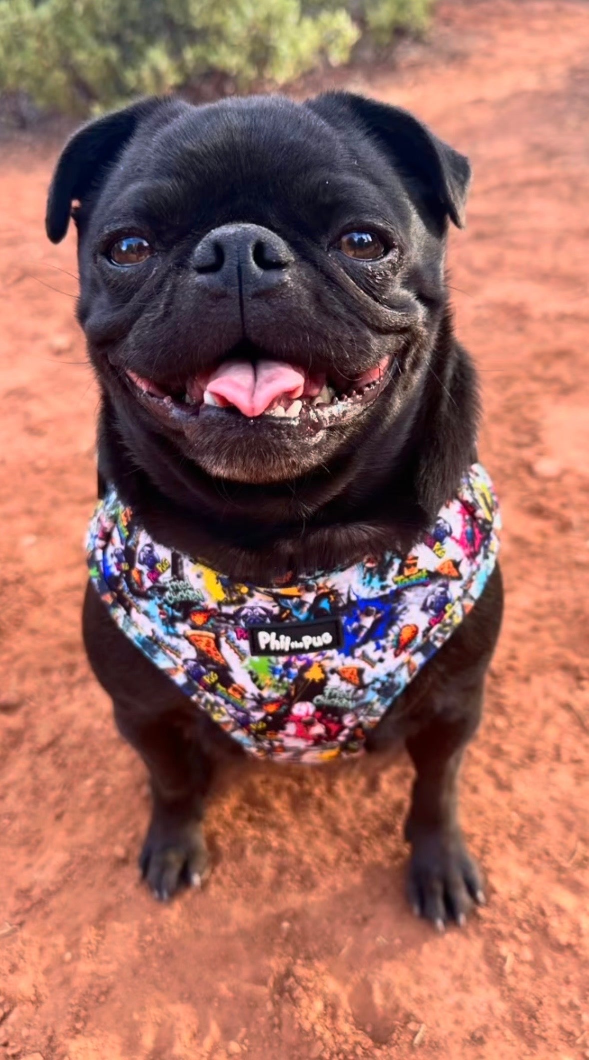 GraffiTales: Phil's Urban Crew Adjustable Harness