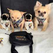 GraffiTales - Phil's Urban Crew Mini Legends Harness Collection