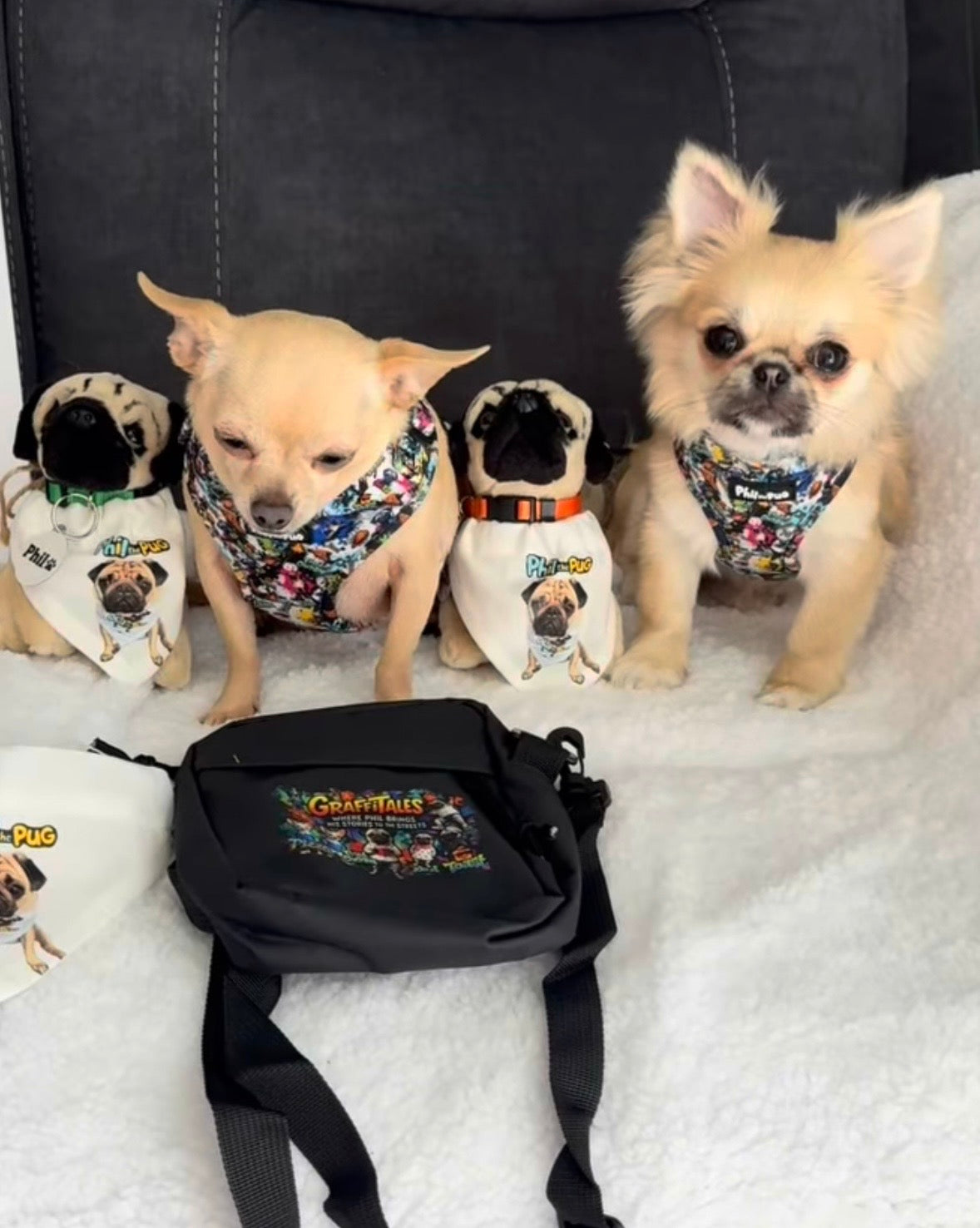 GraffiTales - Phil's Urban Crew Mini Legends Harness Collection