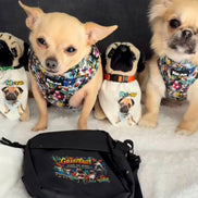 GraffiTales - Phil's Urban Crew Mini Legends Harness Collection