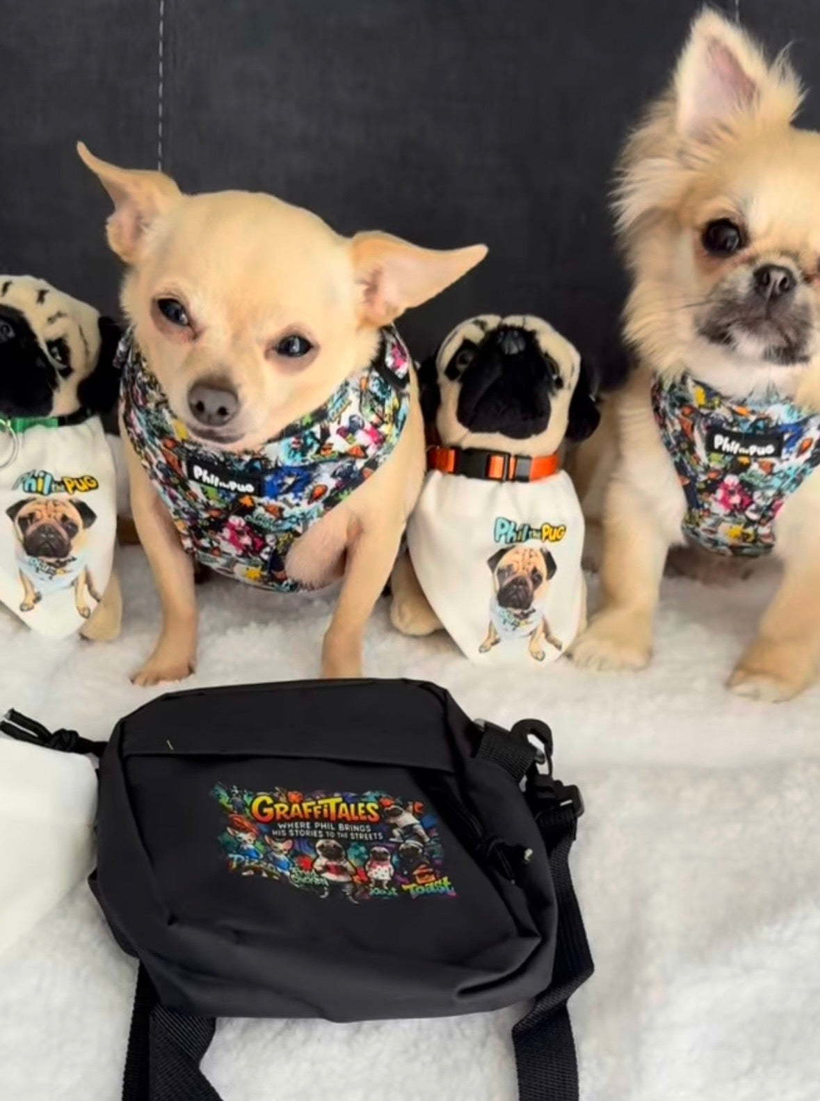 GraffiTales - Phil's Urban Crew Mini Legends Harness Collection