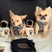 GraffiTales: Phil's Urban Crew Adjustable Harness