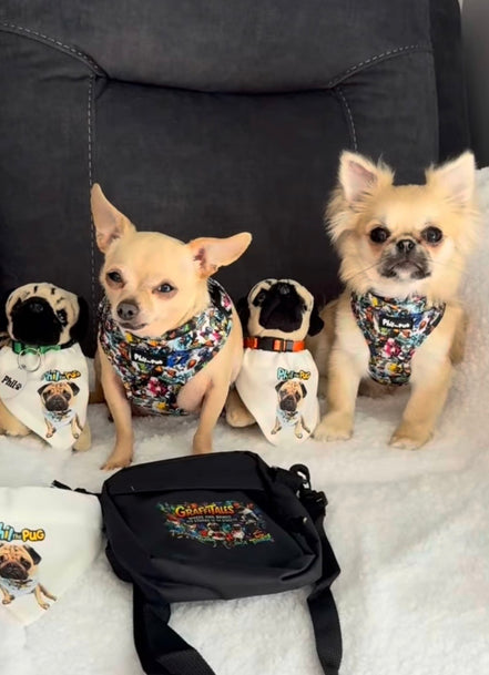 GraffiTales: Phil's Urban Crew Adjustable Harness