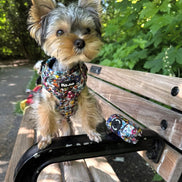 GraffiTales - Phil's Urban Crew Mini Legends Harness Collection