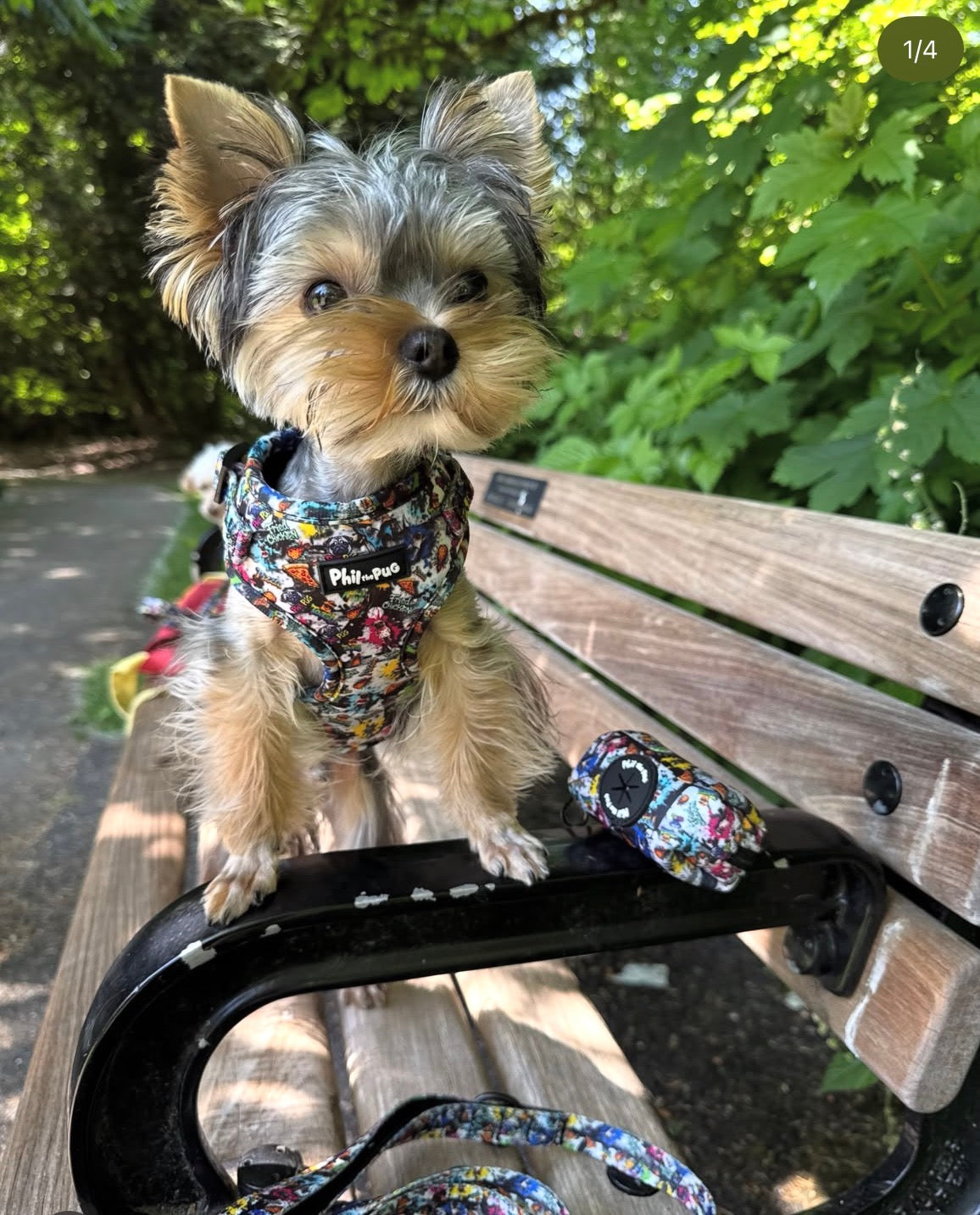 GraffiTales - Phil's Urban Crew Mini Legends Harness Collection