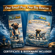 Phil the Pug: Phil and the Great Ocean Rescue Deluxe Gift Box Set