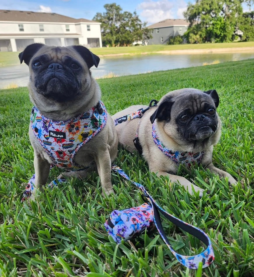 🌈 Phil’s Pride Parade Harness
