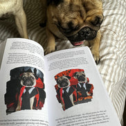 🐾 Phil the Pug - Nobody Asked Me About George - The Third Year of a Legend