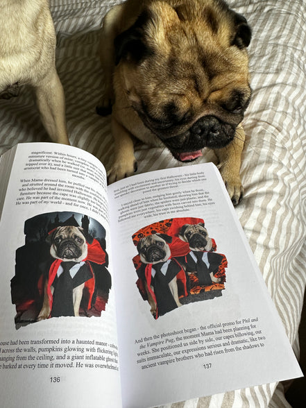 🐾 Phil the Pug - Nobody Asked Me About George - The Third Year of a Legend