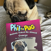 🐾 Phil the Pug - Nobody Asked Me About George - The Third Year of a Legend