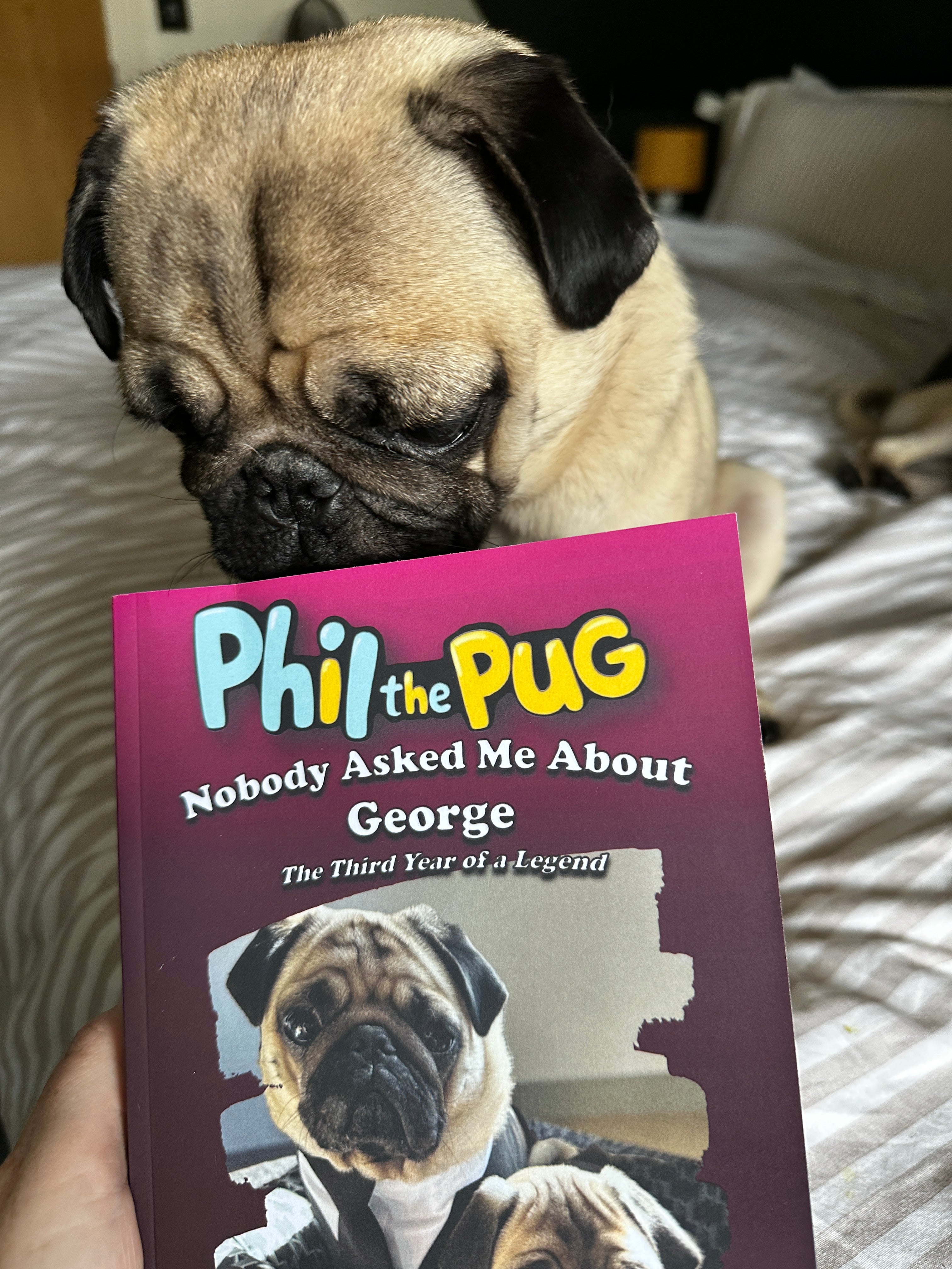 🐾 Phil the Pug - Nobody Asked Me About George - The Third Year of a Legend