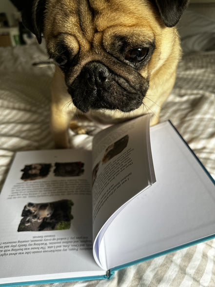 Phil The Pug - The Puppy Chronicles (Paperback Signed Paperback Edition)