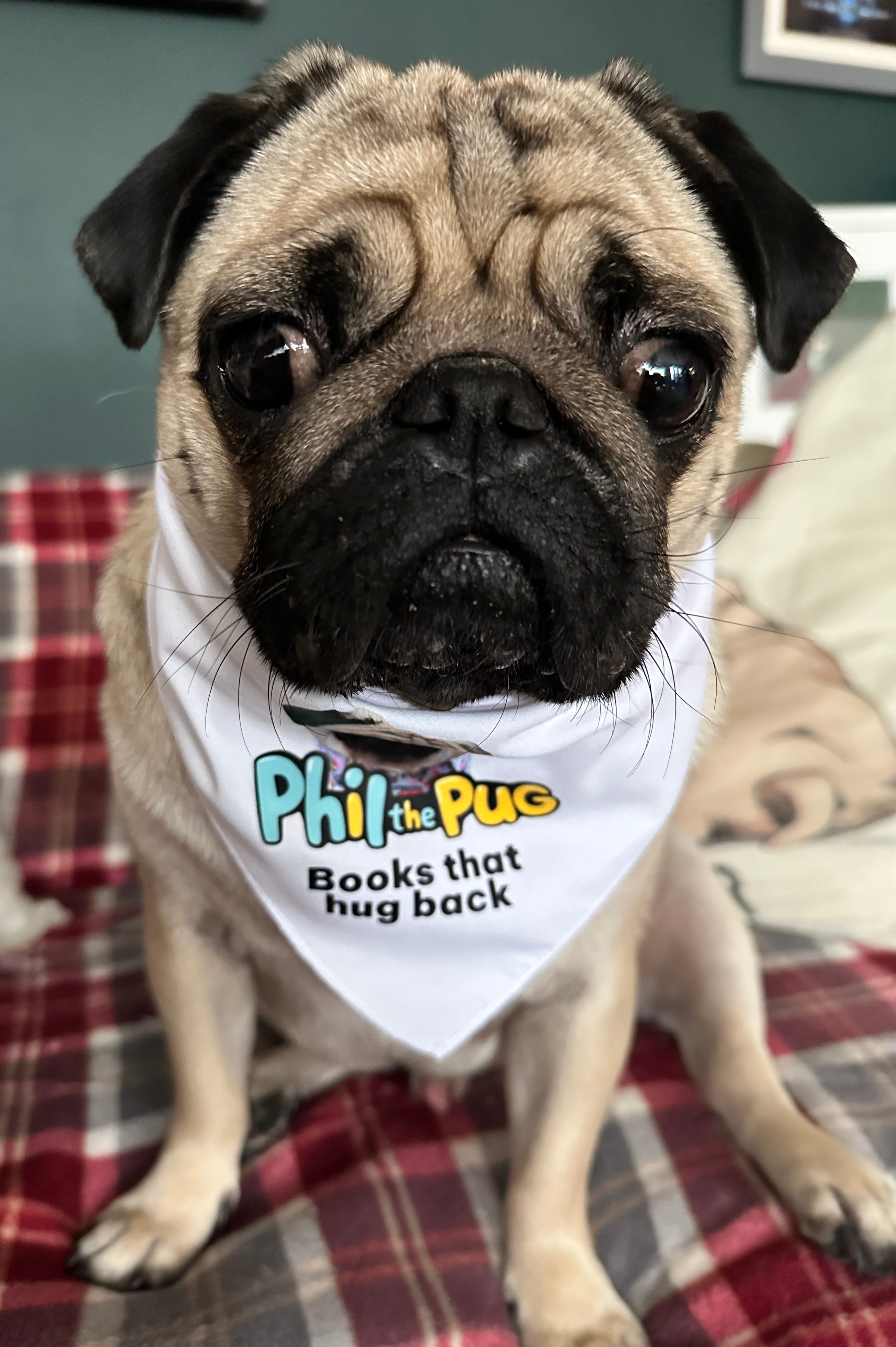 "Books That Hug Back" Tie-On Bandana - Small to Medium Dogs