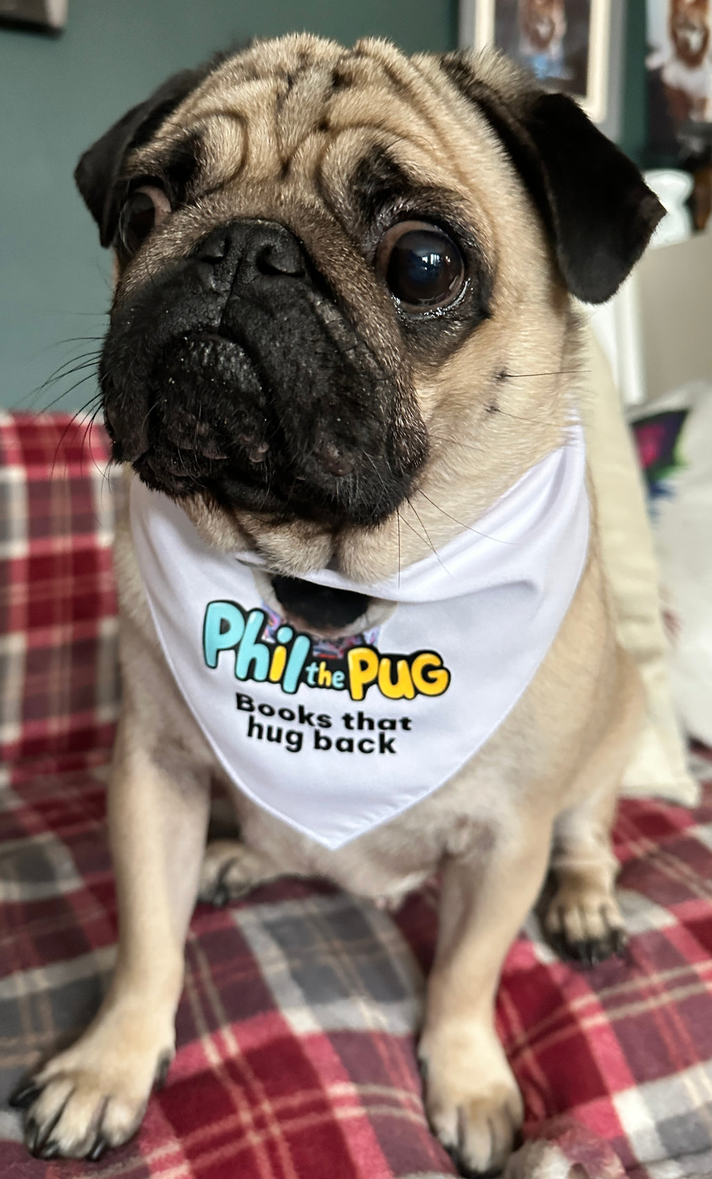 "Books That Hug Back" Tie-On Bandana - Small to Medium Dogs