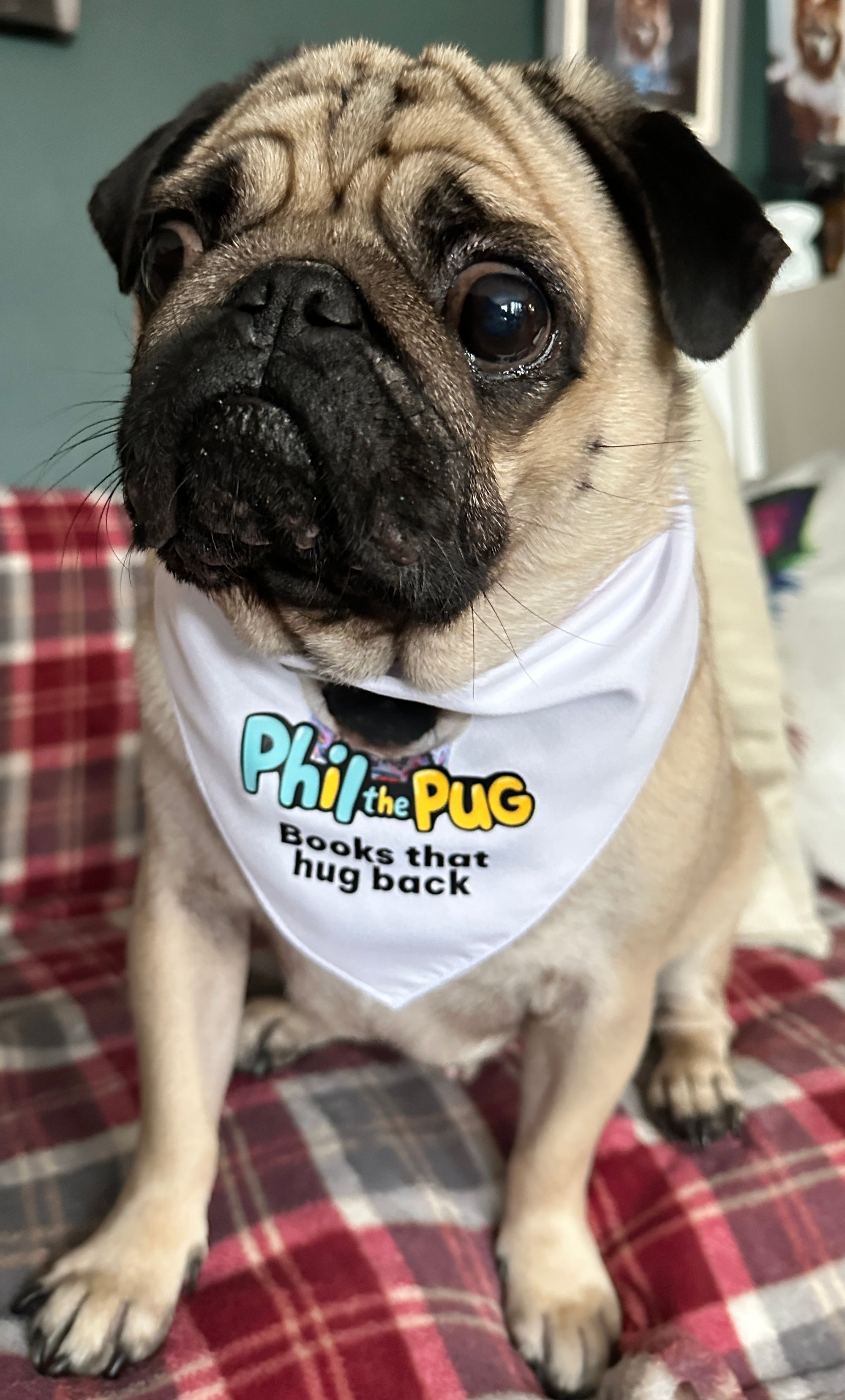 "Books That Hug Back" Tie-On Bandana - Small to Medium Dogs