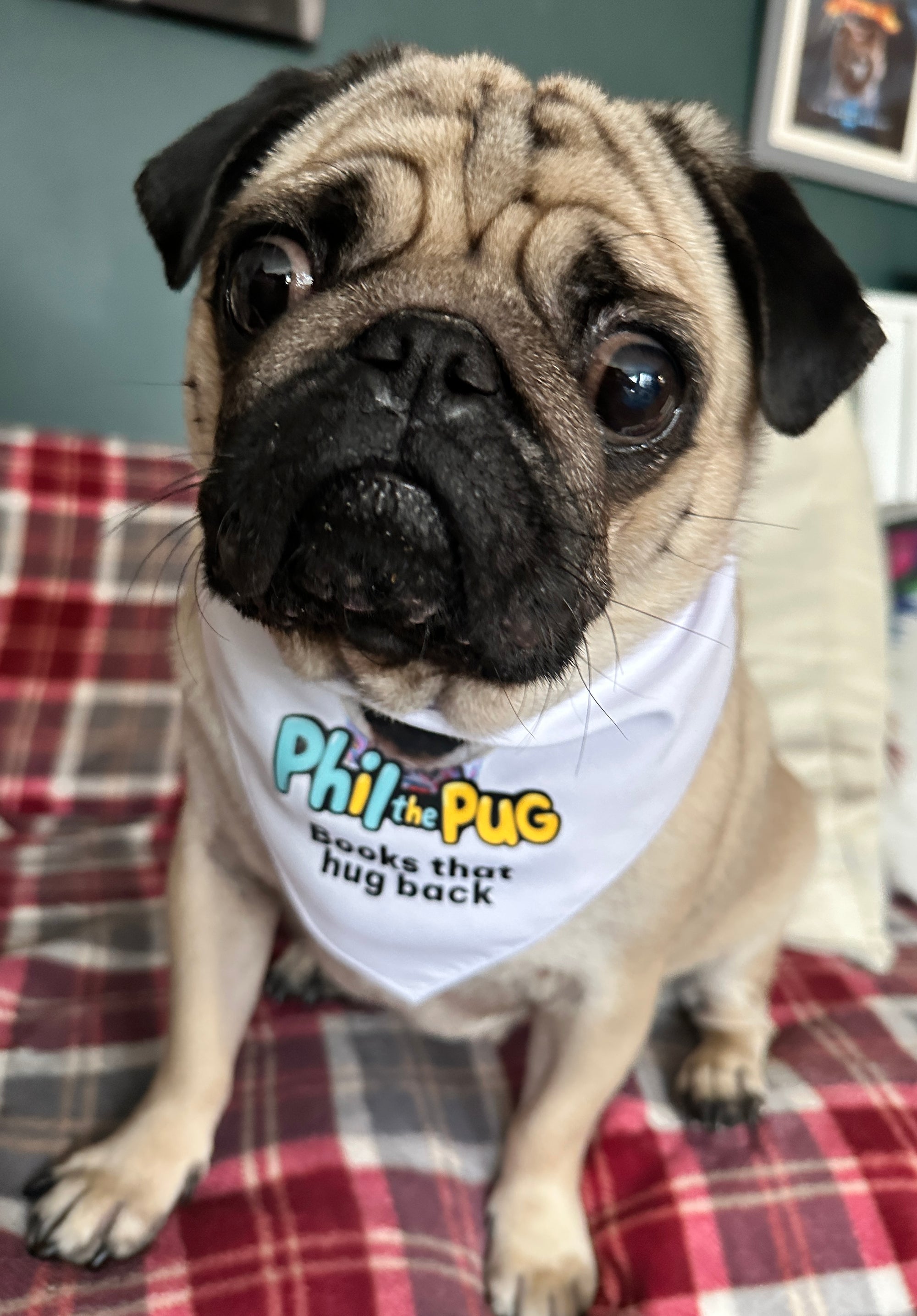 "Books That Hug Back" Tie-On Bandana - Small to Medium Dogs