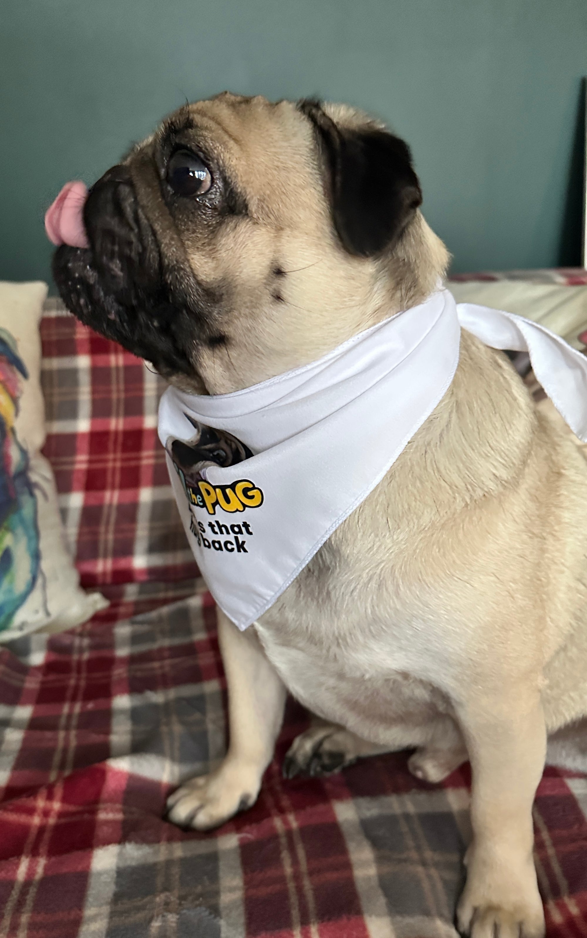 "Books That Hug Back" Tie-On Bandana - Small to Medium Dogs