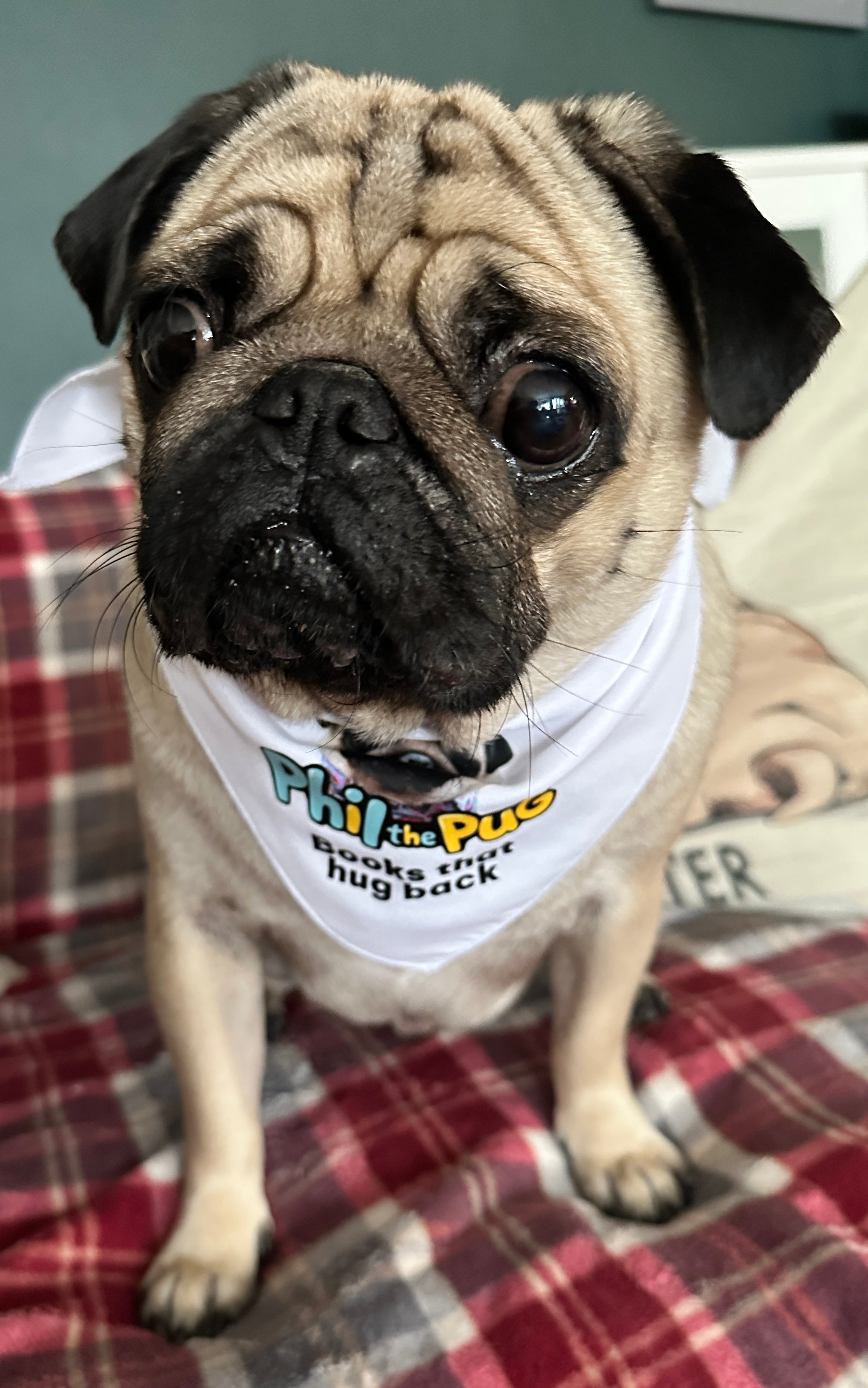 "Books That Hug Back" Tie-On Bandana - Small to Medium Dogs