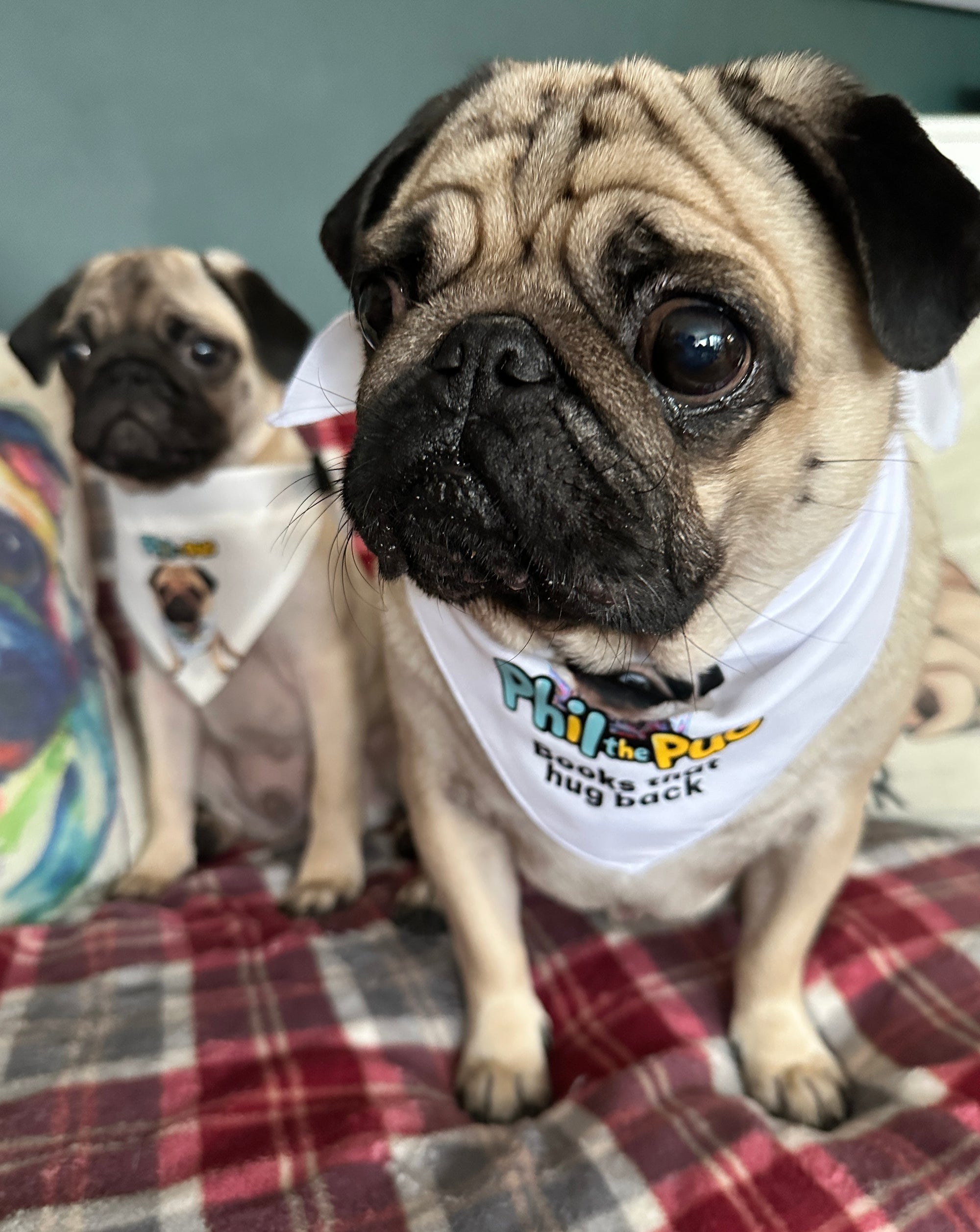 "Books That Hug Back" Tie-On Bandana - Small to Medium Dogs