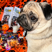 Phil and the Rise of the Vampire Pug: A Halloween Tale - Signed Children's Paperback Book