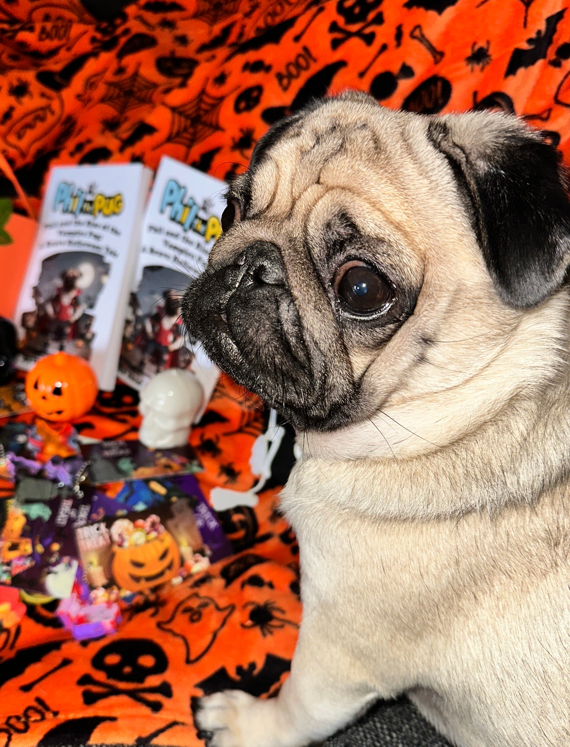 Phil and the Rise of the Vampire Pug: A Halloween Tale - Signed Children's Paperback Book
