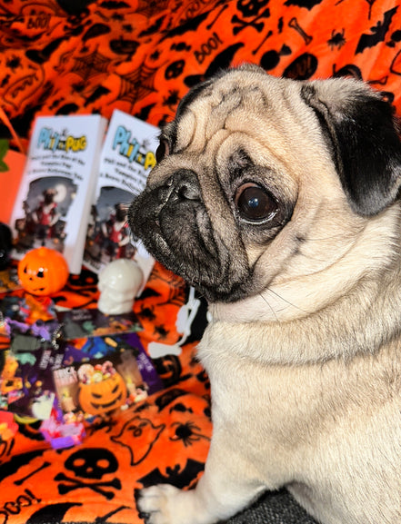 Phil and the Rise of the Vampire Pug: A Halloween Tale - Signed Children's Paperback Book