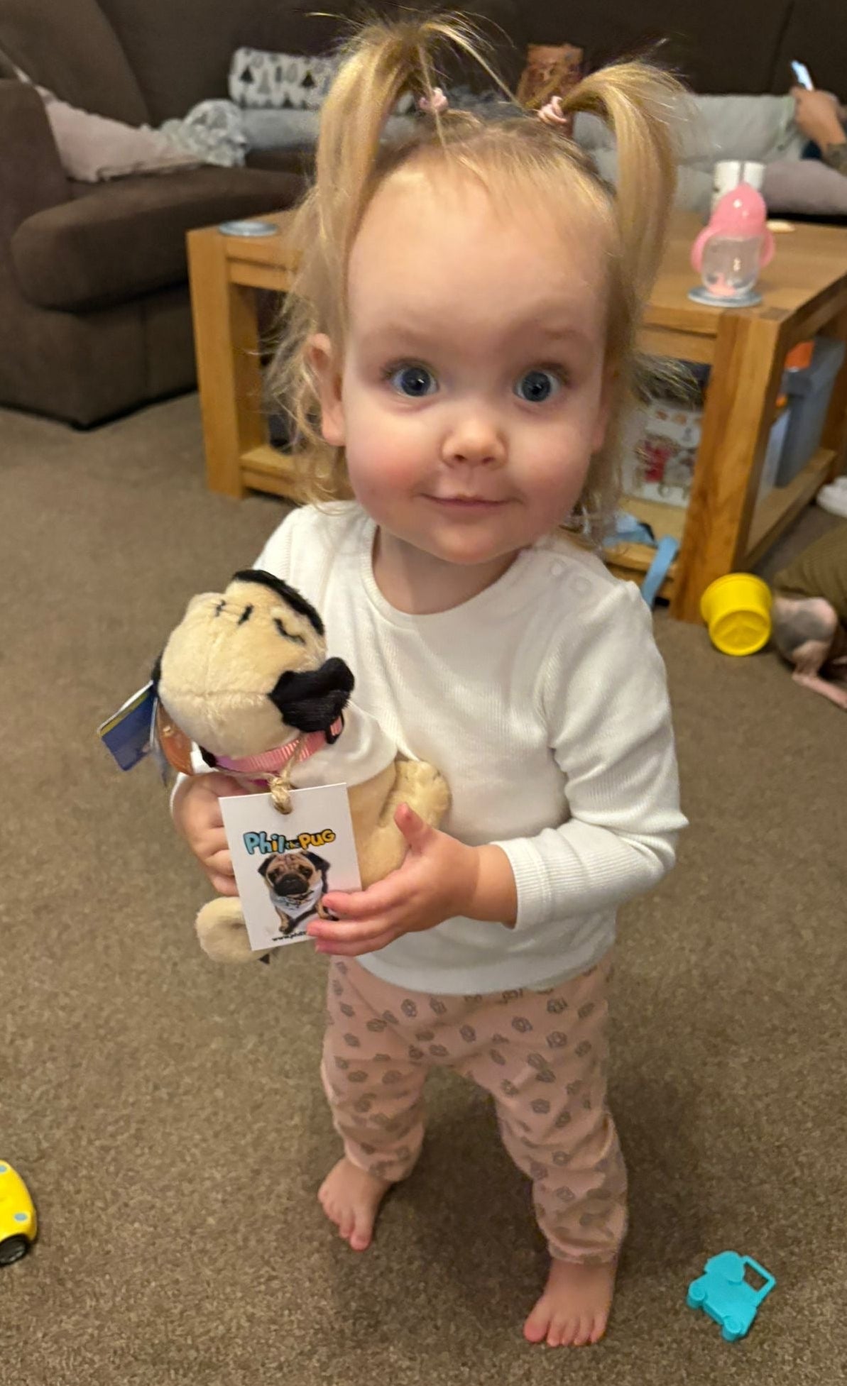 Phil the Pug – Custom Plush Toy with Signature Accessories - 16.5cm - Limited Edition