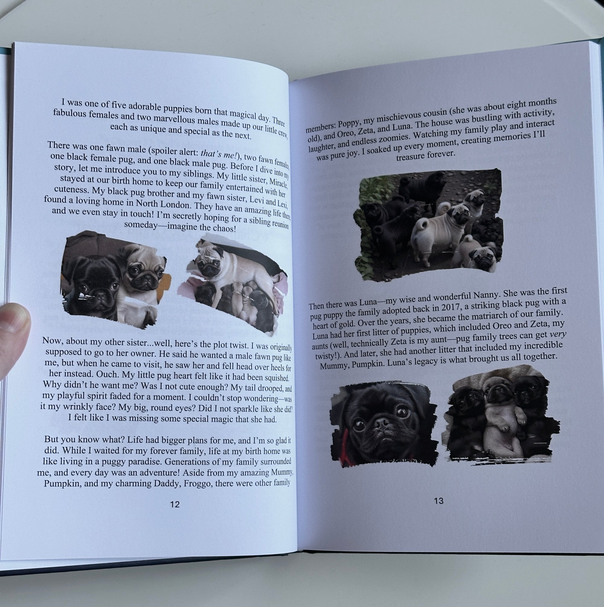 Phil The Pug - The Puppy Chronicles - Signed Edition - Hardback Book