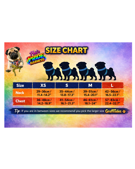 🌈 Phil’s Pride Parade Harness