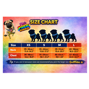 🌈 Phil’s Pride Parade Collection