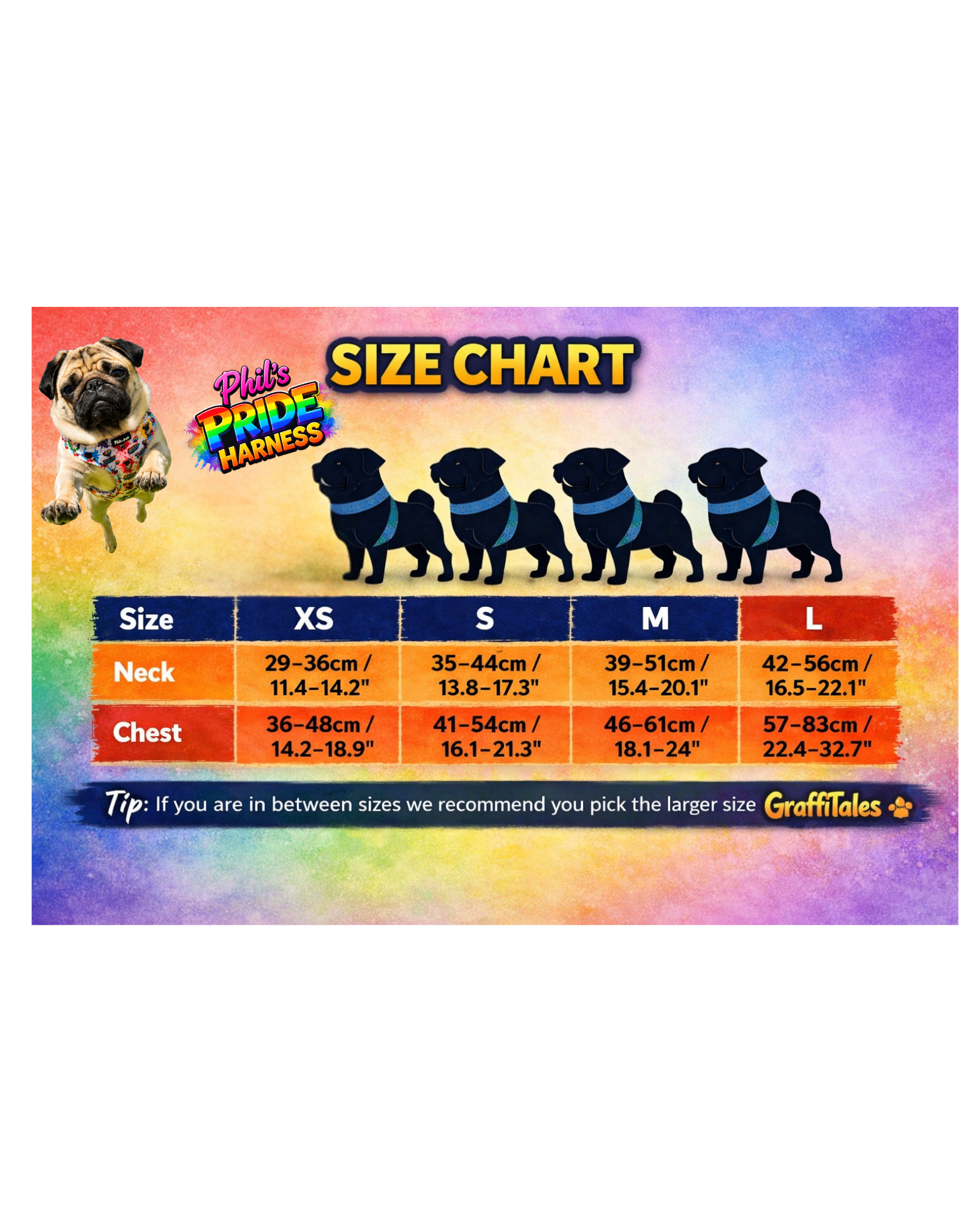 🌈 Phil’s Pride Parade Collection