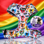 🌈 Phil’s Pride Parade Harness