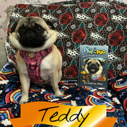 Phil the Pug - Born to be a Legend - Signed Edition - Hardback