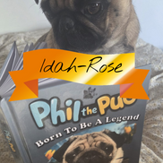 Phil the Pug - Born to be a Legend - Signed Edition - Hardback