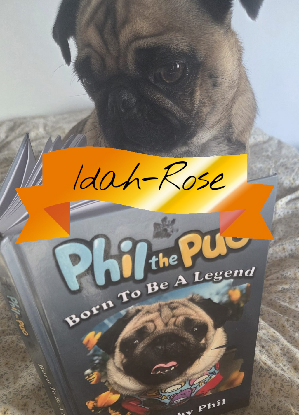 Phil the Pug - Born to be a Legend - Signed Edition - Hardback