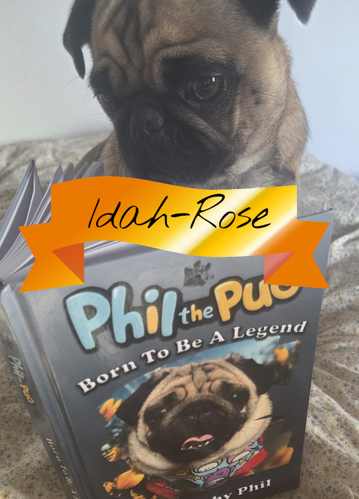 Phil the Pug - Born to be a Legend - Signed Edition - Hardback