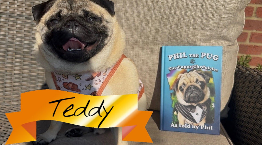 Phil The Pug - The Puppy Chronicles - Signed Edition - Hardback Book