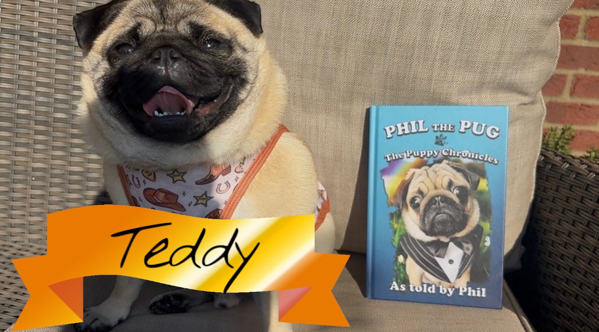Phil The Pug - The Puppy Chronicles - Signed Edition - Hardback Book