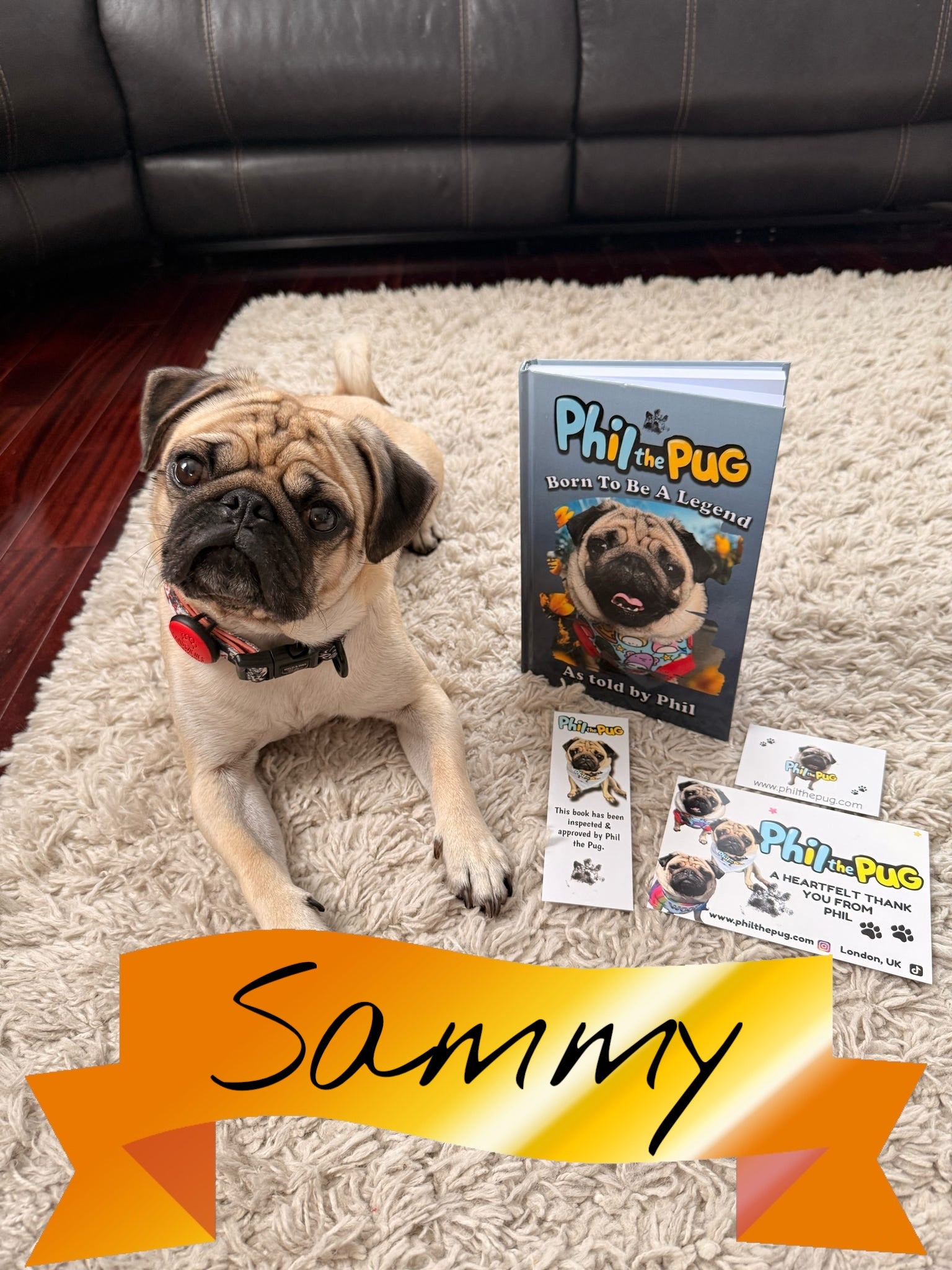 Phil the Pug - Born to be a Legend - Signed Edition - Hardback