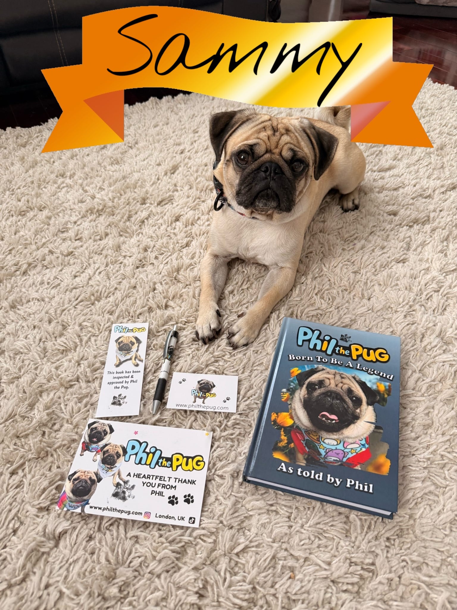Phil the Pug - Born to be a Legend - Signed Edition - Hardback